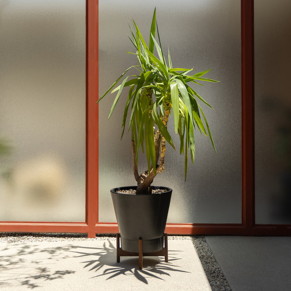 Case Study® セラミックス ラージジュエル スタンド付き
