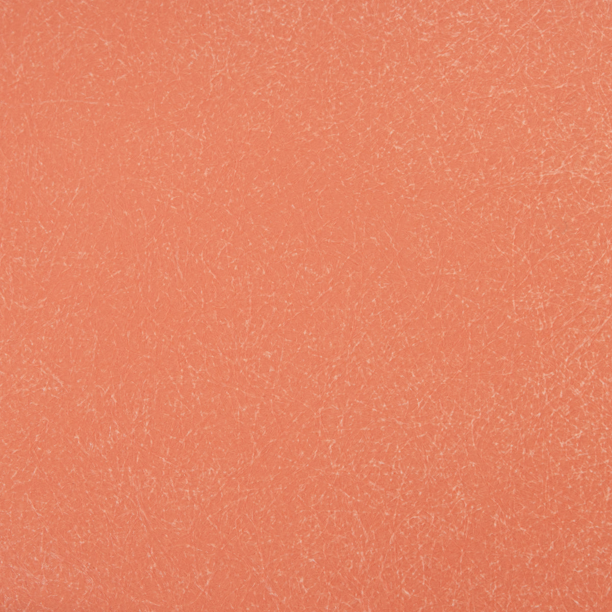 Fiberglass Coral Swatch