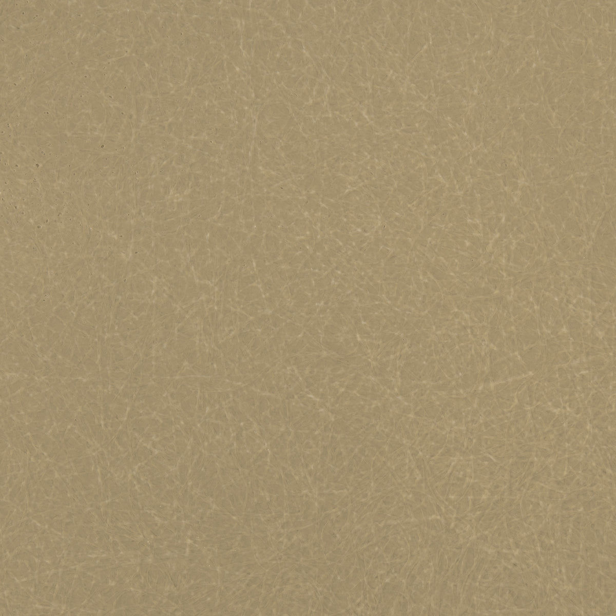 Fiberglass Oatmeal Swatch