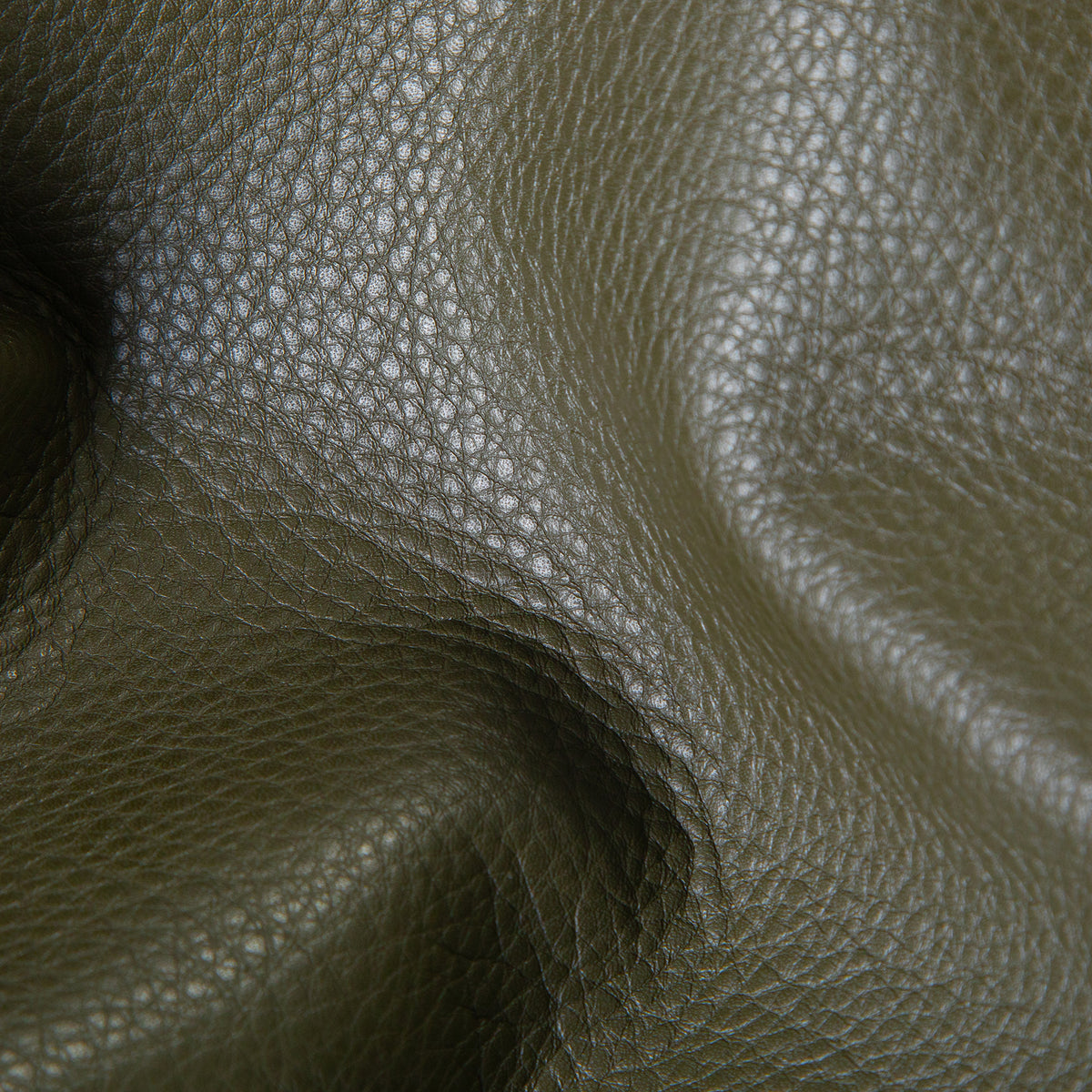 Green Leather Swatch