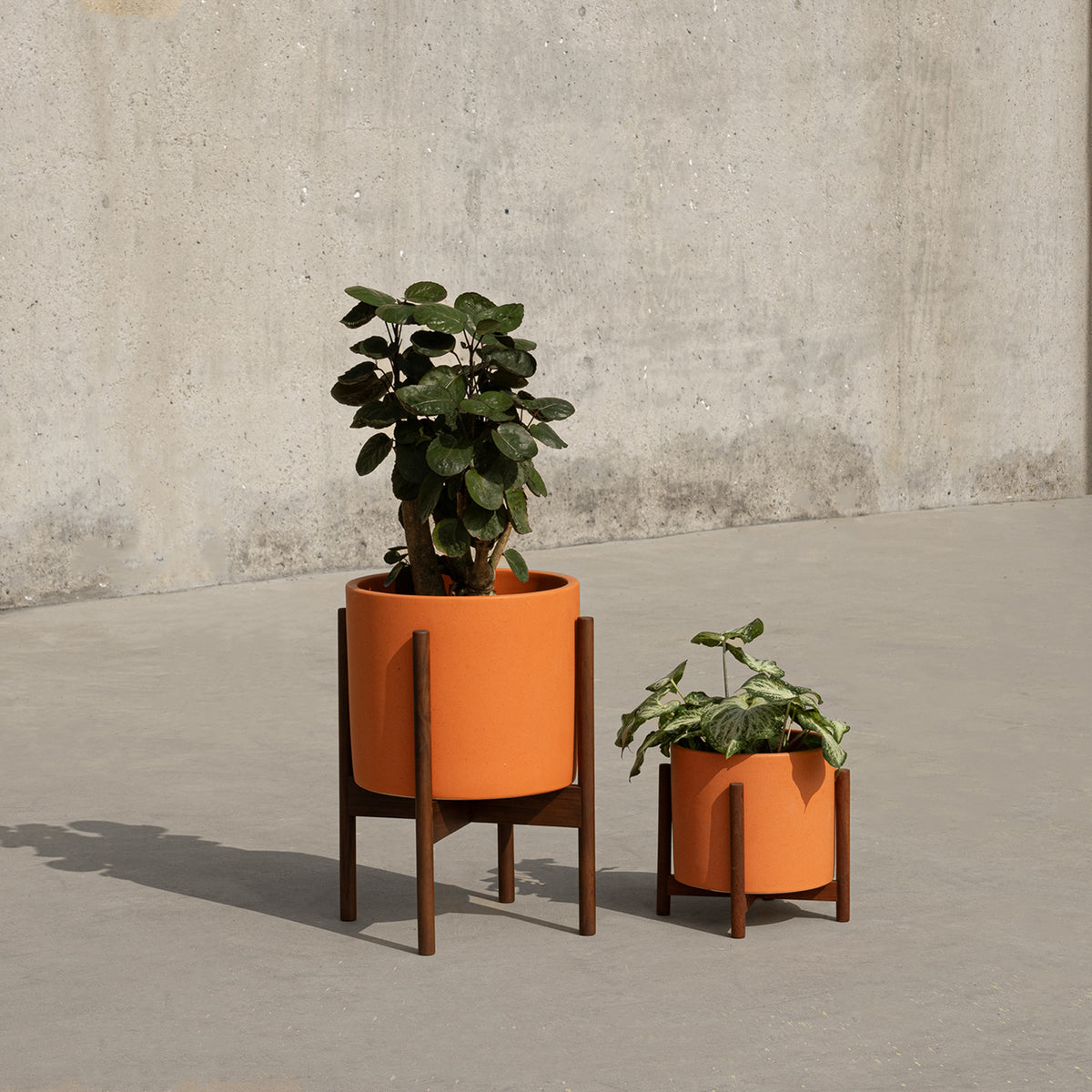 Case Study® Cylinder Planter Bundle Table Top & Small