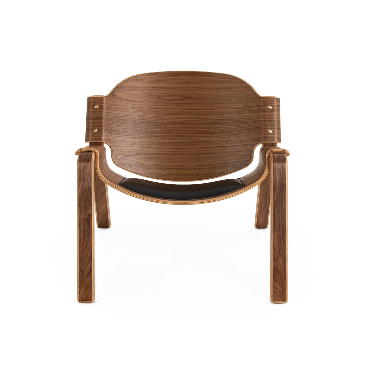 Modernica