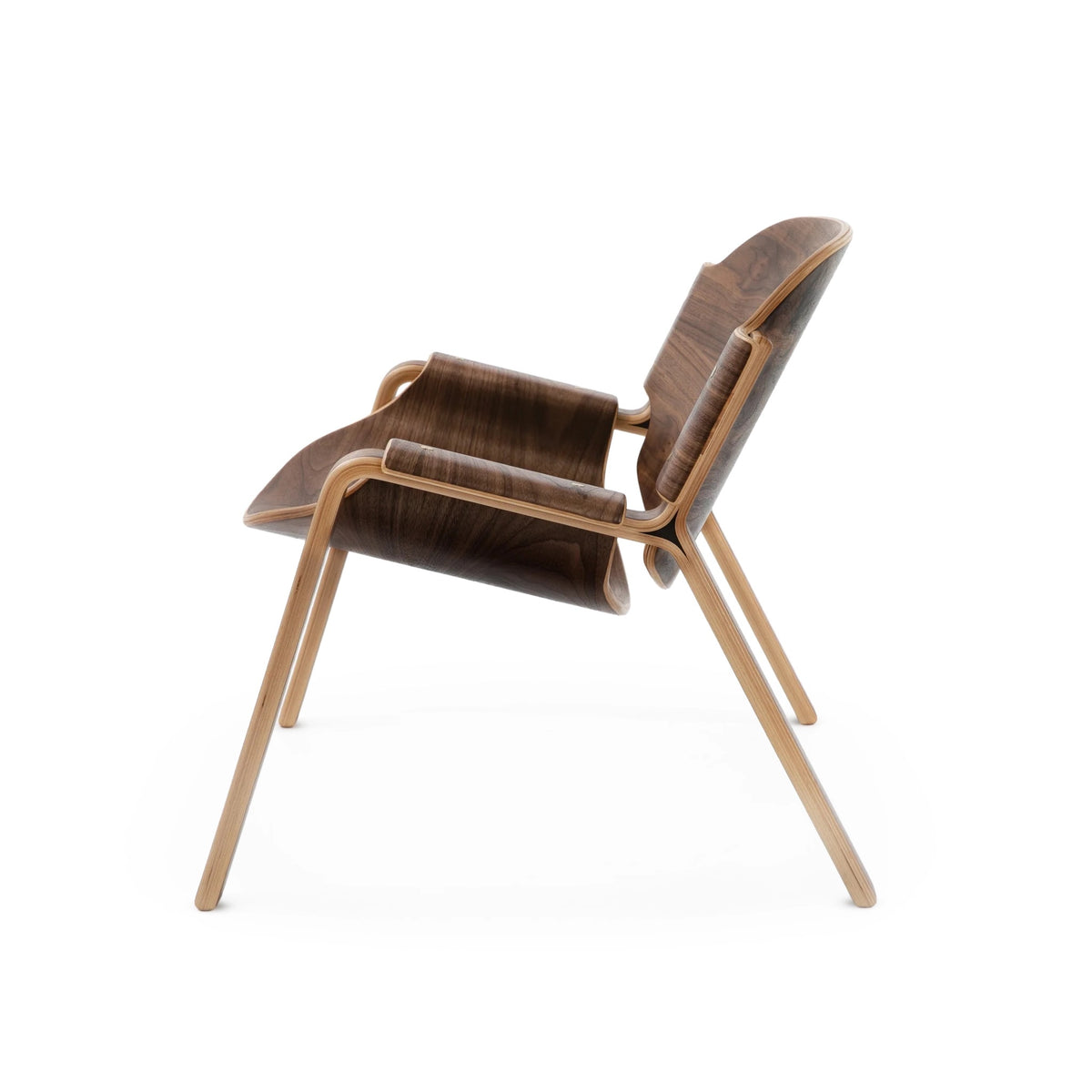 Oyster Chair