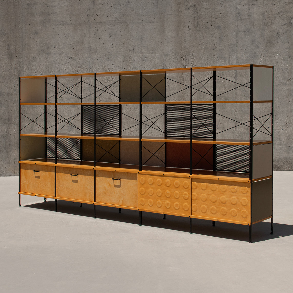 Case Study® Custom Storage Unit 450