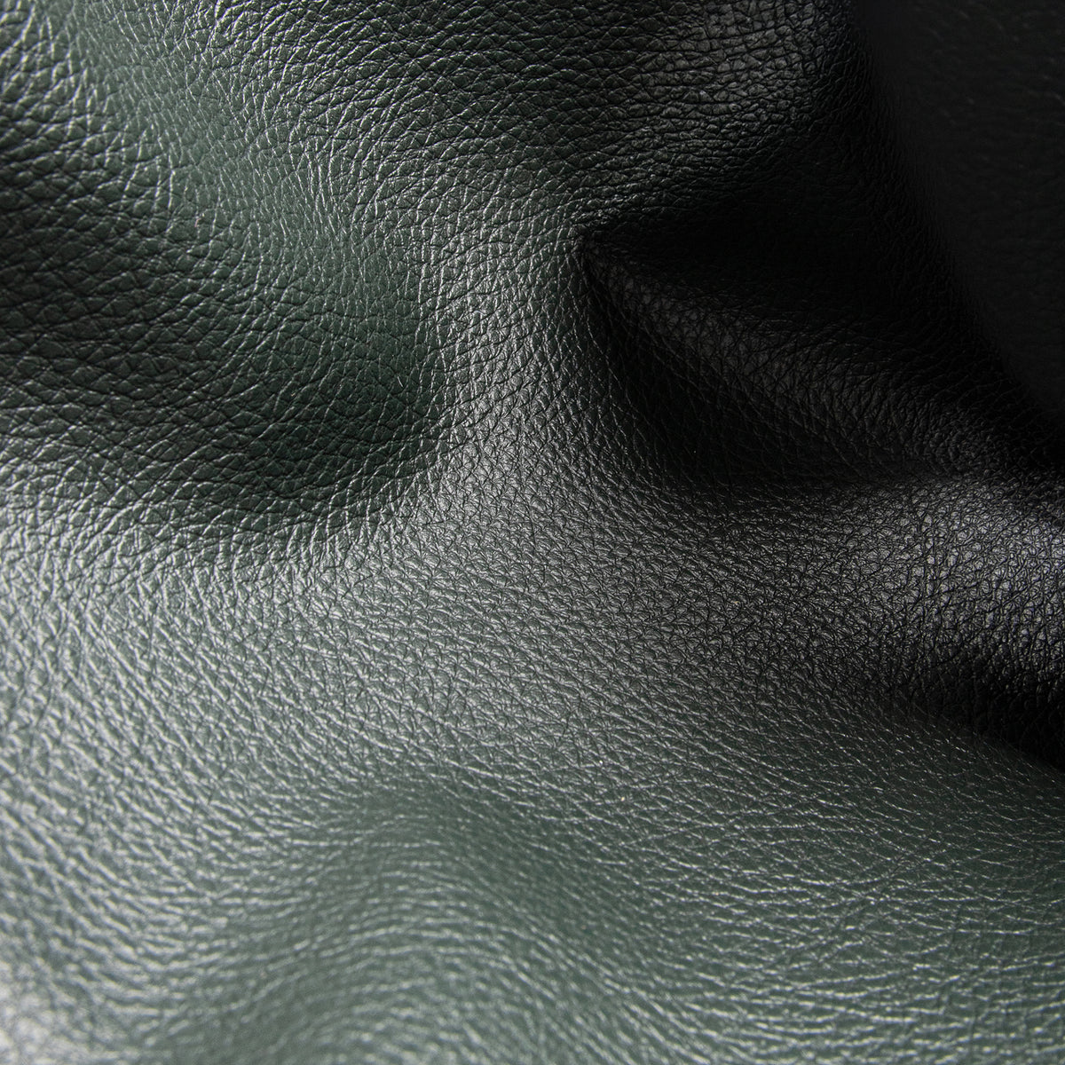 Spruce Vinyl Swatch